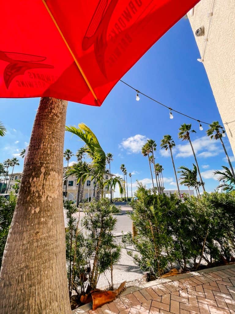 view from under a red cafe umbrella across a busy street intersection of tall palm trees and a perfectly blue sky