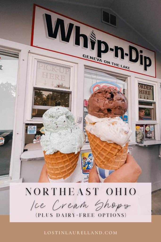 Whip-n-dip ice cream