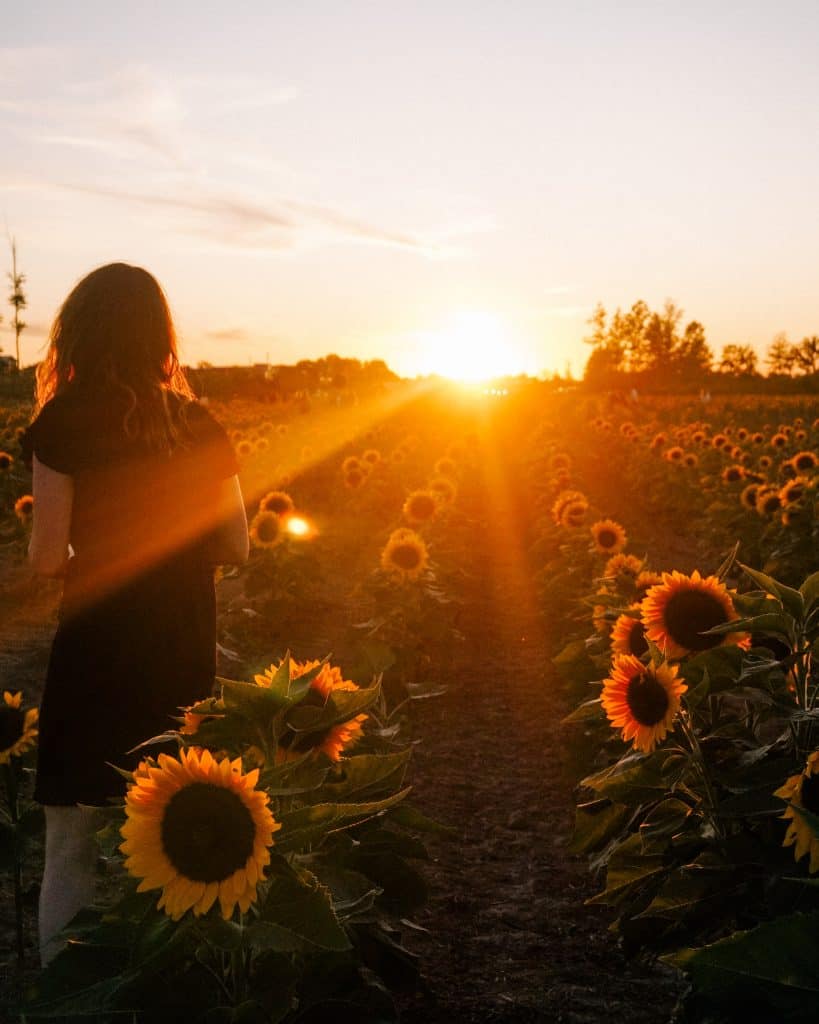 Things You Must Do In Ohio This Fall - Lost In Laurel Land